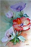 Fleurs d'anmones  l'aquarelle (50x70cm)