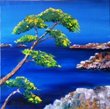 Huile reprsentant les calanques de Cassis (taille60cm sur 60cm)